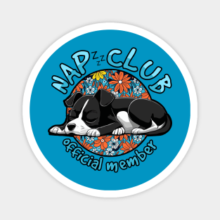 cute puppy dog - nap club Magnet